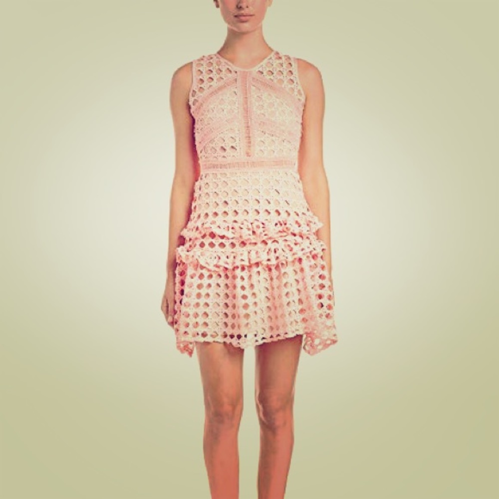 Blush and nude Haute Rouge NWTs S dress
